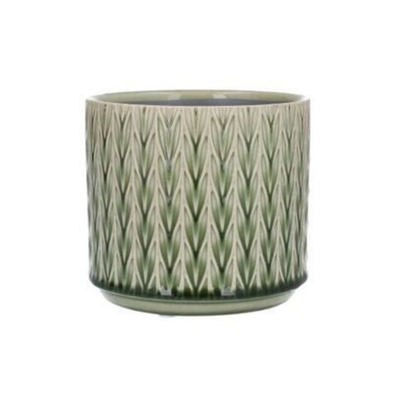 Green Staghorn Sml Ceramic Pot Cover By Gisela Graham